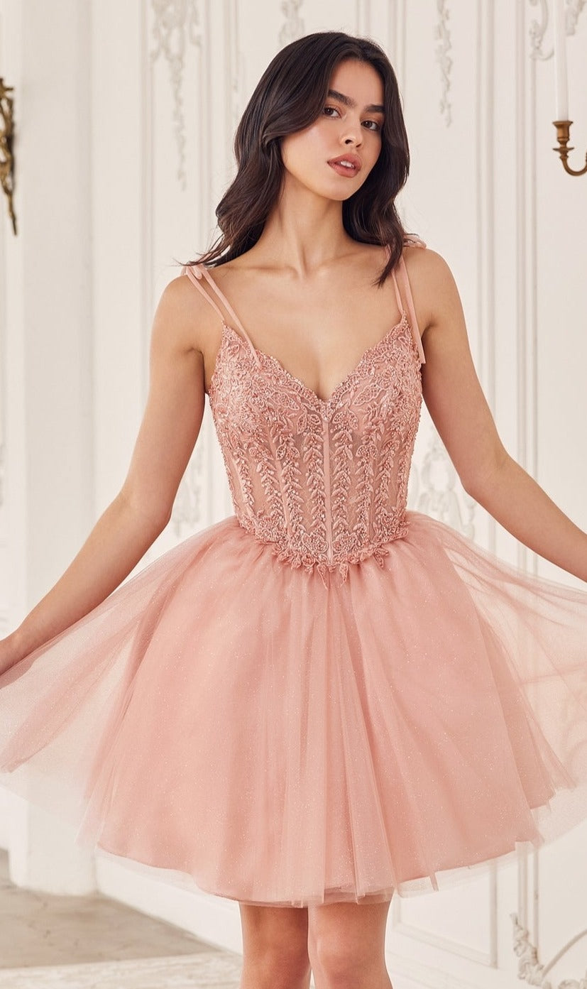 A woman stands indoors against an ornate white wall wearing the Ladivine Embroidered Lace Homecoming Dress CD0236 in blush pink, featuring a sleeveless, short tulle design with delicate lace detailing.